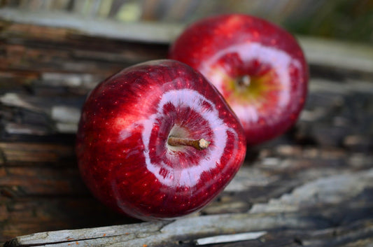 A Closer Look at Swiss Apple Serum