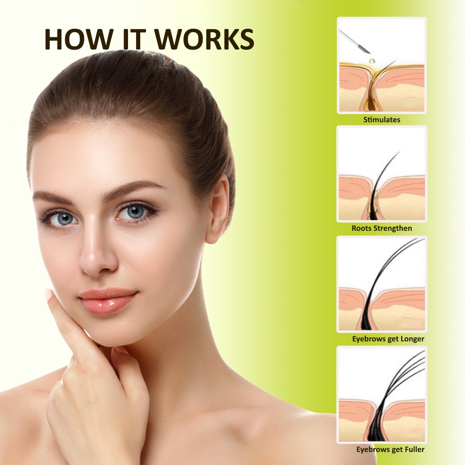swissbotany Health and Beauty EyeBrow & EyeLash Combo Growth Serum for Women & Men Premium Biotin Eyebrow Thickening Solution